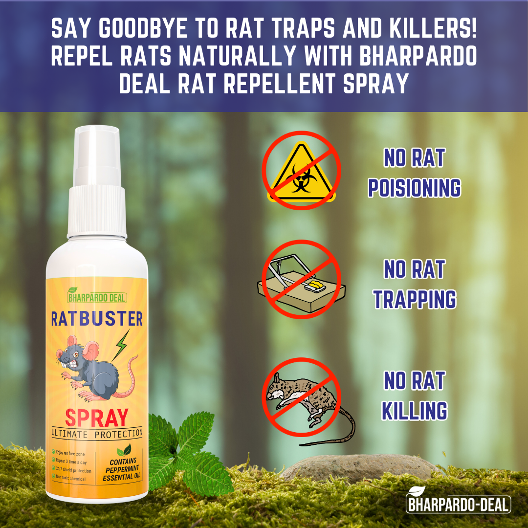 Ratbuster Spray - Your Defense Against Rat Infestations