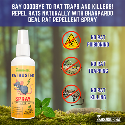 Ratbuster Spray - Your Defense Against Rat Infestations