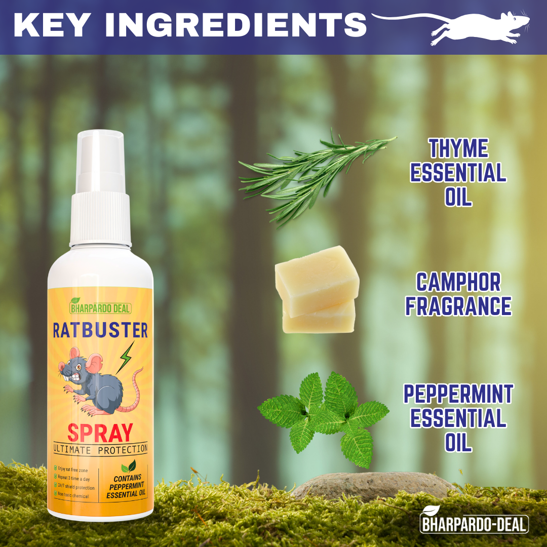Ratbuster Spray - Your Defense Against Rat Infestations