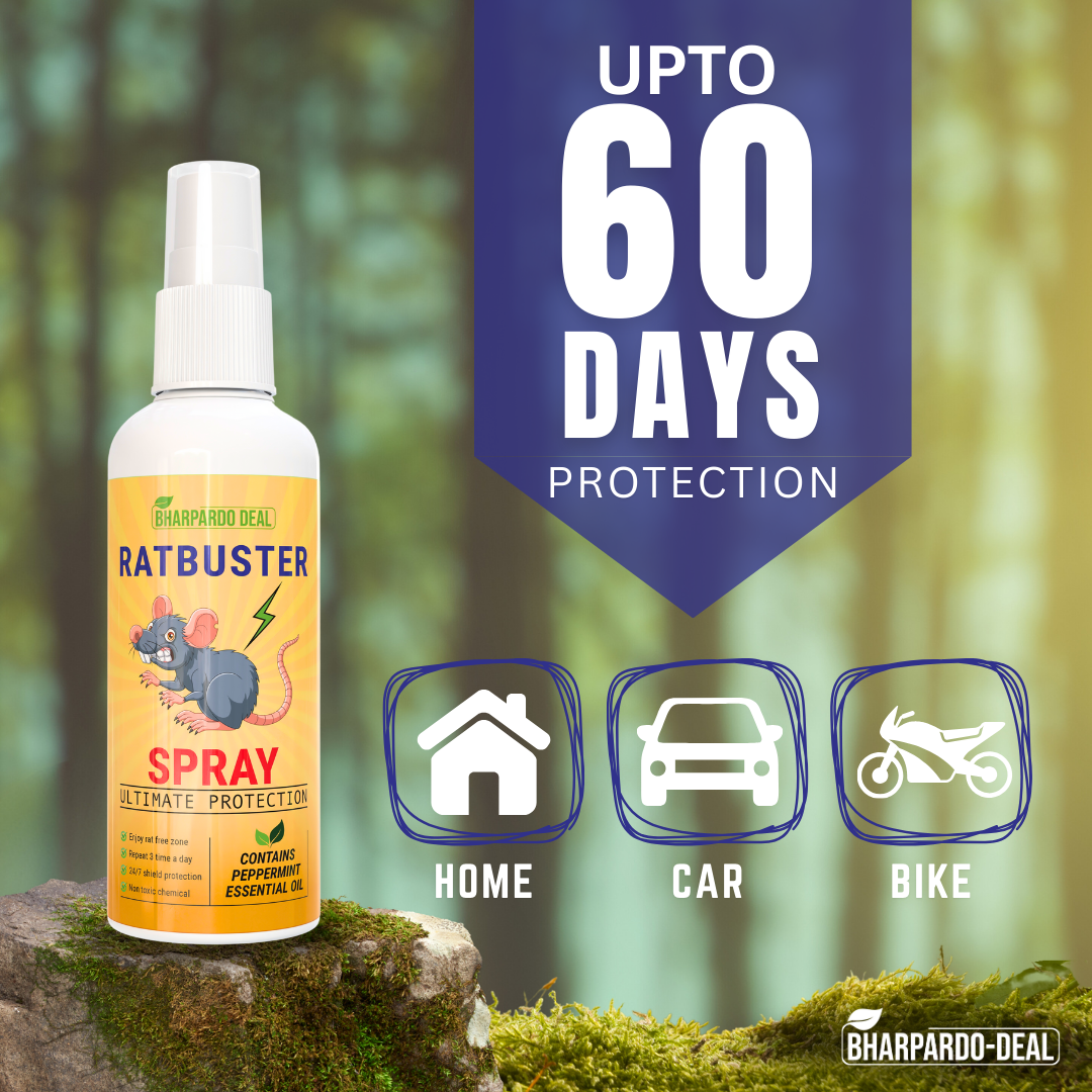Ratbuster Spray - Your Defense Against Rat Infestations