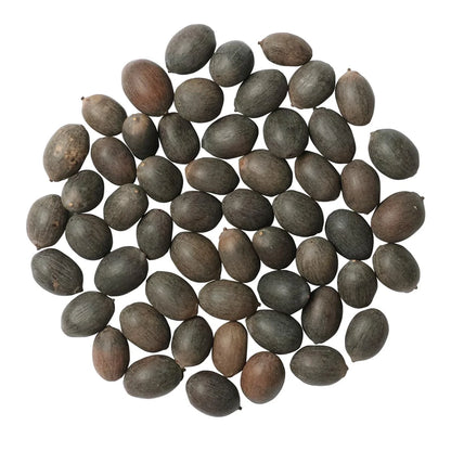 Bonsai Japanese Lotus Seeds - Buy 1 Get 1 Free - 9764602257