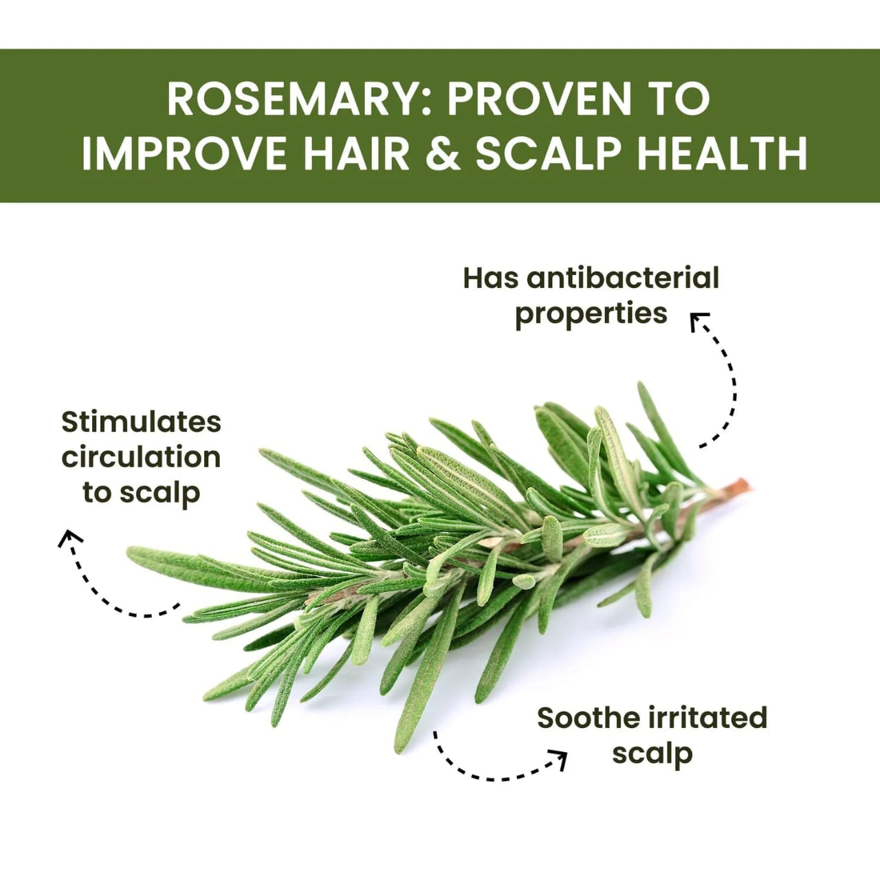 ZEYA Rosemary Water Spray | For Hair Regrowth (Buy 1 Get 1 Free 😍)
