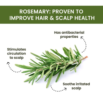 ZEYA Rosemary Water Spray | For Hair Regrowth (Buy 1 Get 1 Free 😍)