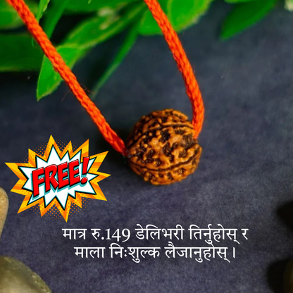 Harek Ghar Ma Rudraksha – Claim Your Free 5 Mukhi Rudraksha